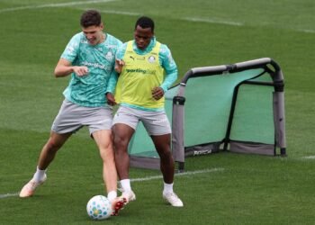 Palmeiras