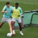 Palmeiras