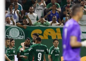 palmeiras