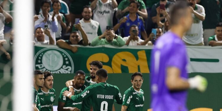 palmeiras
