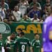 palmeiras