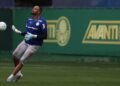 Palmeiras