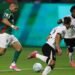 paulinho palmeiras