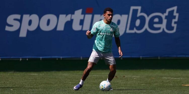 Palmeiras