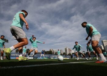 Palmeiras