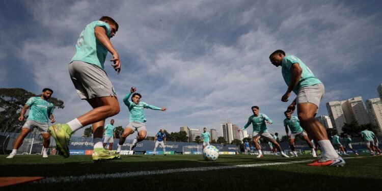 Palmeiras