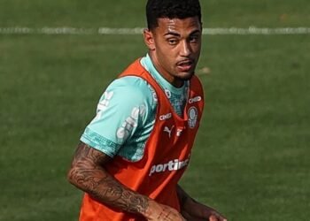 Palmeiras