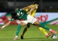 palmeiras
