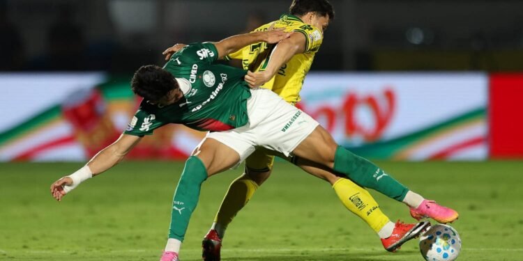 palmeiras