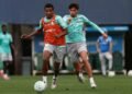 Palmeiras
