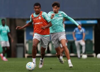 Palmeiras