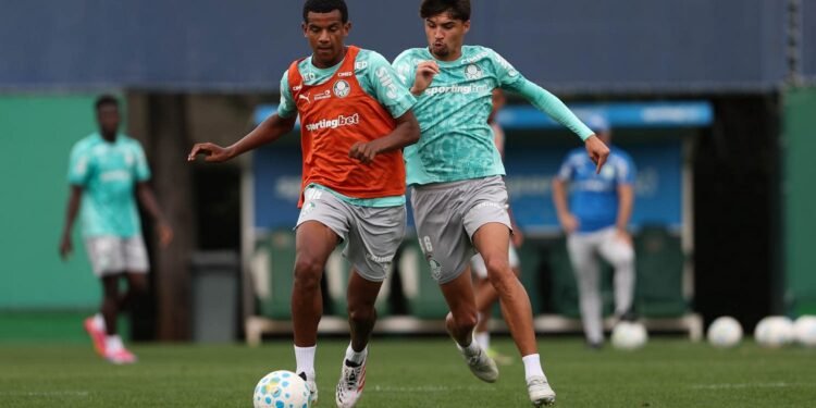 Palmeiras