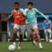 Palmeiras