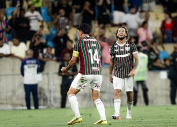 palmeiras fluminense