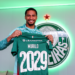 Palmeiras