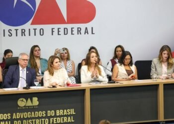 OAB/DF realiza seminário sobre Lei Maria da Penha.