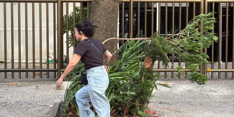 Logo Agência Brasil