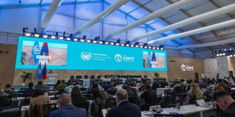 Da Amazônia à Europa, seca avança e movimenta debates na COP17.