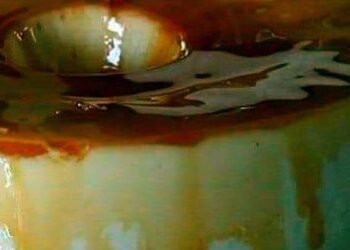 Pudim de Leite Ninho coberto com caramelo