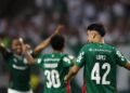 palmeiras flaco lopez
