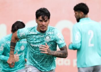 Palmeiras