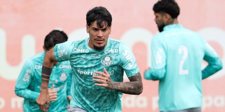Palmeiras