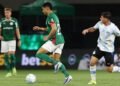 palmeiras