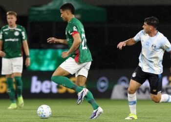 palmeiras