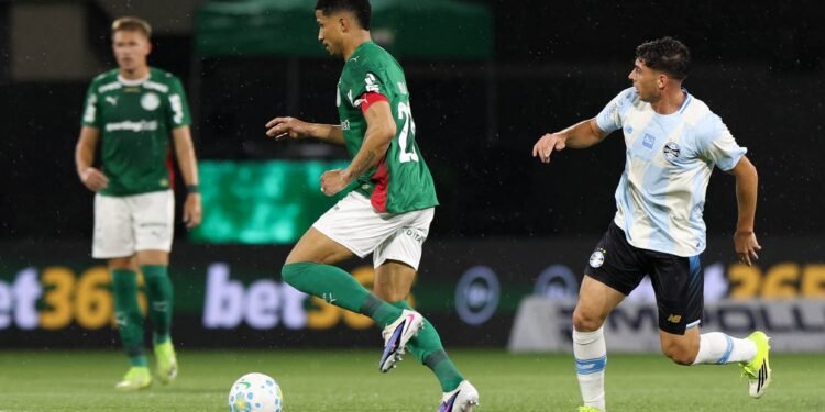 palmeiras