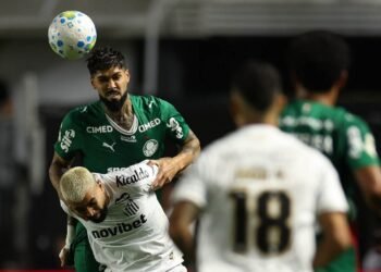 palmeiras santos