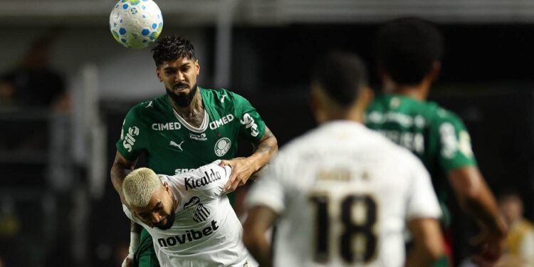palmeiras santos