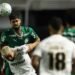 palmeiras santos