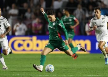 palmeiras x santos