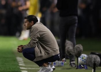 Palmeiras abel ferreira