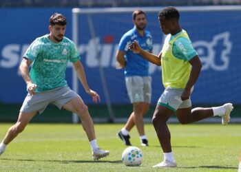 Palmeiras