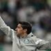 palmeiras