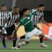 Palmeiras