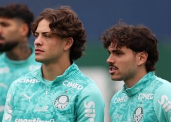 PALMEIRAS