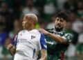 palmeiras