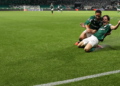 palmeiras