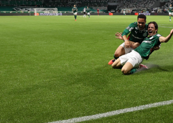 palmeiras