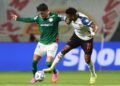 palmeiras