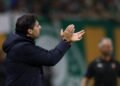 palmeiras