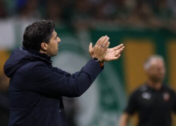 palmeiras