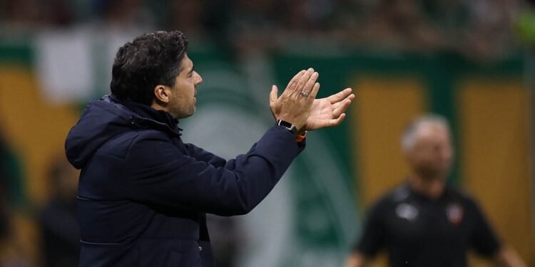 palmeiras