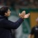 palmeiras