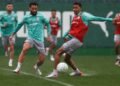 palmeiras