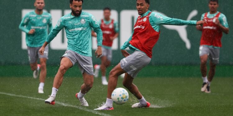 palmeiras