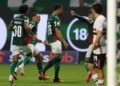 palmeiras