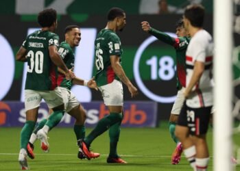 palmeiras